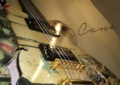 cane 01